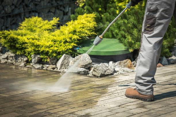 Best Solar Panel Cleaning  in Orland, CA