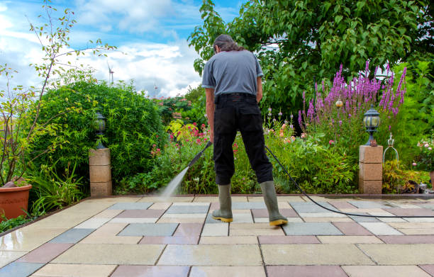 Best Fence Cleaning  in Orland, CA